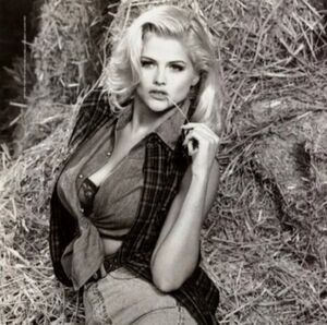 Vintage Y2K GUESS Western Retro Anna Nicole Smith Inspired  Denim Front Tie Top 